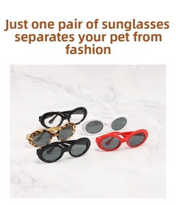 Vue à plat de lunettes de soleil ovales pour animaux en noir, blanc, rouge et léopard