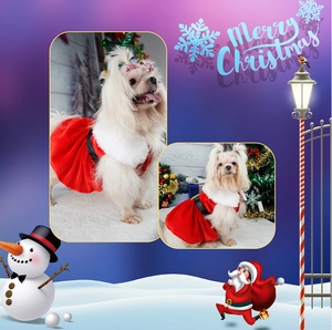 Detail of red velvet Christmas pet dress with plush collar and festive holiday background