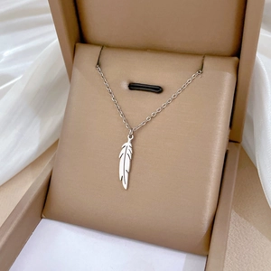 Collier avec pendentif plume en acier titane argenté dans un coffret à bijoux
