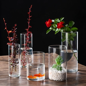 Clear borosilicate glass cylinders in various sizes for hydroponics and micro-landscapes