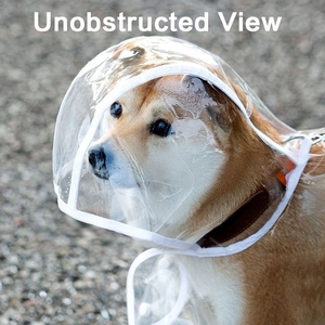 Transparent PVC dog raincoat hood with white trim featuring clear unobstructed view for pets