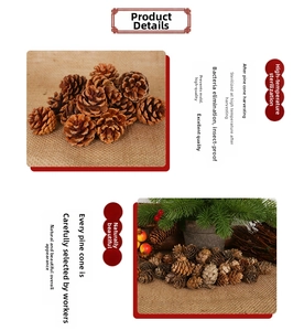 Macro detail of natural pine cones with sterilized texture for Christmas decoration