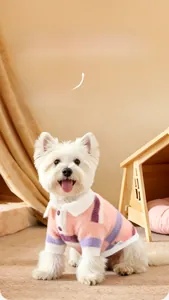 Pink and purple striped pet sweater with polo collar on a dog in a cozy home setting