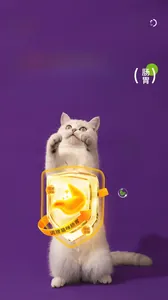 Catnip toy poster showing plant fiber benefits for cat digestion and hairball relief