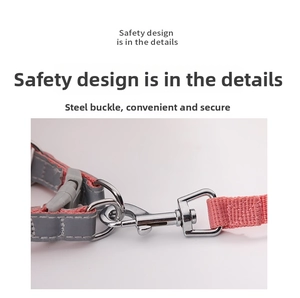 Close-up of durable steel snap hook with pink nylon and gray reflective webbing detail