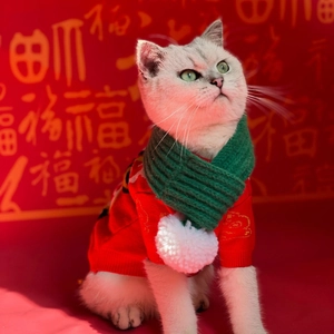 Knitted red pet sweater and green scarf set for cats and dogs with pom-poms