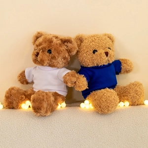 Twee schattige bruine teddyberen met witte en blauwe t-shirts en warme lichtjes