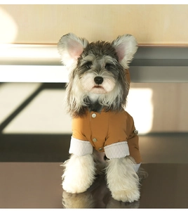 Detail of tan hooded pet jacket with striped cuffs and snap buttons for small dogs