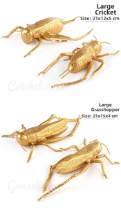 Vue détaillée de modèles d'insectes dorés avec dimensions pour criquet et sauterelle
