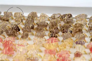 Detailed wire-wrapped natural crystal rings displayed on white jewelry tray