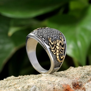 Macro detail of vintage dragon claw ring featuring a golden scorpion on weathered steel