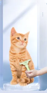 Gros plan d'un peigne vert clair pour animaux brossant un chat roux sur un support bleu