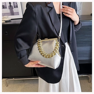 Detailed shot of a silver metallic bag with a chunky gold chain handle and vintage metal frame