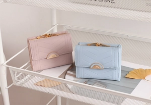 Pink and blue striped wallets with gold metal clasps on a white grid shelf