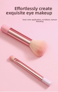 Close-up of pink peach gradient makeup brush set including powder and eyeshadow brushes
