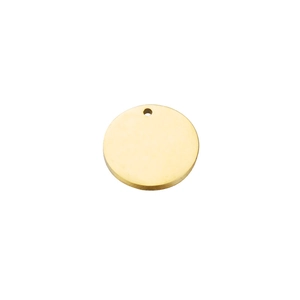 Polished round golden stainless steel blank pet tag with pre-drilled hole for DIY
