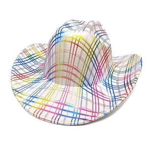 Macro shot of colorful rainbow plaid pattern on white felt cowboy hat with curved brim