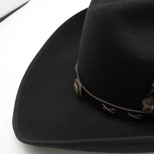 Detail of wool fedora with brown leather band, metallic studs, and feather accents