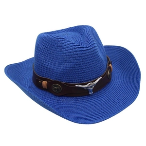 Detail of blue cowboy straw hat with brown leather band and silver bull head emblem