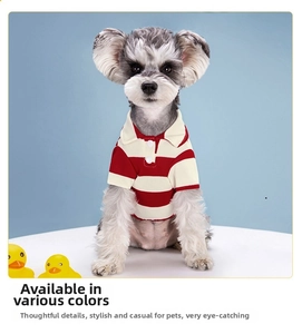 Close-up of red and white striped pet polo shirt with white collar on a Schnauzer dog