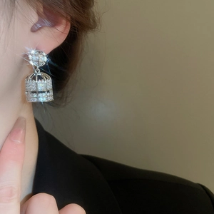 Detailed view of silver birdcage earrings with sparkling zircons worn by a model