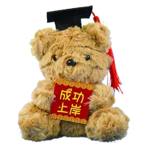 Orsetto di peluche per laurea con cappello da dottore e biglietto rosso di successo