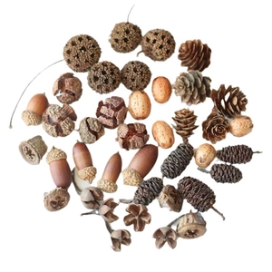 Natural dried pine cones and acorns set for Christmas crafts decoration on white background