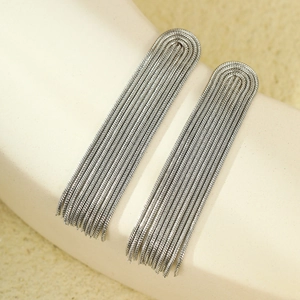 Macro shot of silver-toned stainless steel tassel earrings with metallic snake chains