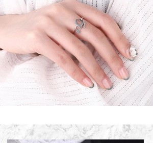 Nahaufnahme von Stern- und Mond-Ring mit glitzerndem Zirkonia, verstellbare Größe