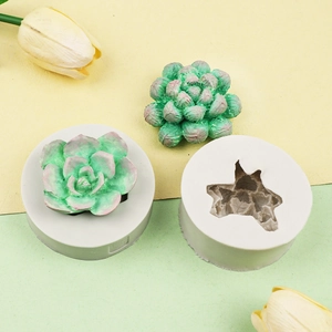DIY succulent cactus plant silicone mold for crystal resin crafts and pot decorations