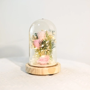 Detail of pink preserved roses with LED fairy lights in glass dome on wooden base