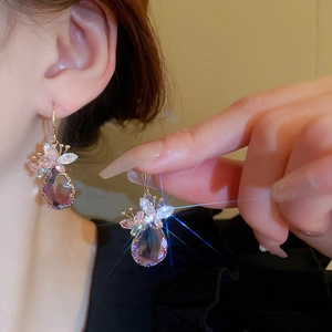 Elegant butterfly teardrop hook earrings with gradient crystals and zircon accents