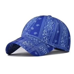 Detailed view of the navy blue paisley print and stitching on the baseball cap
