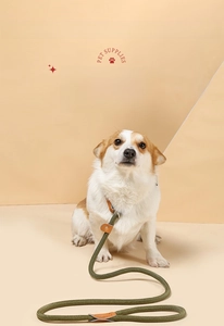 Detail view of army green braided dog leash with brown leather connectors on a Corgi dog