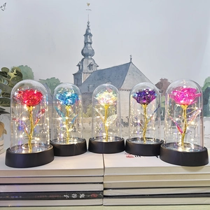Detail of five colorful artificial roses with LED string lights in glass domes