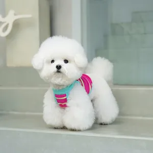 Débardeur Rayé Pour Chien Chat Broderie Ours Mignon Polyester Tricot Gaufre Extensible Vêtements Été Petits Chiens