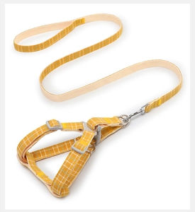 Detail of adjustable plaid dog harness set with sturdy metal buckle and leash