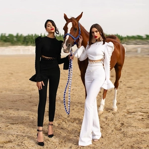 Ensemble chic deux pièces pour femme avec haut court bouffant et pantalon évasé haut