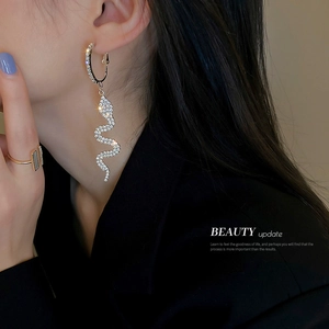 Gros plan sur des boucles d'oreilles serpent argentées avec glands en strass pour femme
