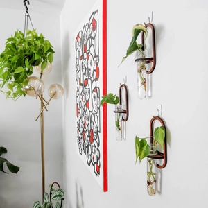 Detail of wall-mounted dark wood test tube planters with green ivy in modern home decor