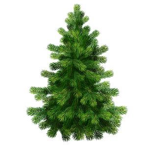 Minimalist green Christmas tree wall sticker with pine needle texture for home wall decor