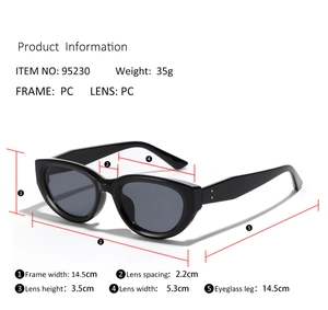 Detailed size specifications for vintage cat eye sunglasses with rivet PC frame and lenses
