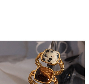 Detail view of gold chain rings featuring square cut tiger eye and dalmatian stone settings
