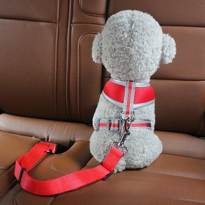 Detail showing a red breathable mesh dog harness with a car seat belt safety connector