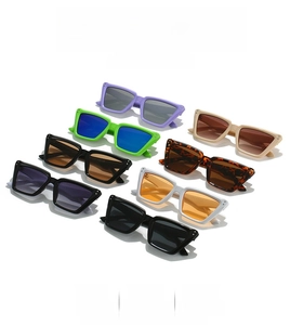 Macro view of colorful cat-eye sunglasses array in purple, green, and tortoiseshell frames
