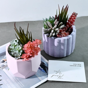 Modern geometric and wavy succulent pots in pink and lilac with Nordic style