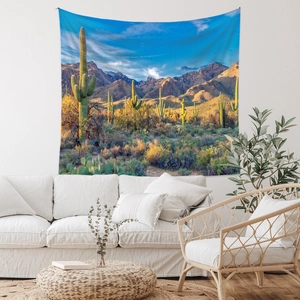 Detailed desert landscape tapestry with saguaro cactus hanging over a white sofa
