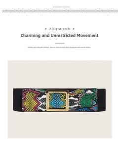 Detail of colorful snakeskin pattern elastic belt with large gold square buckle