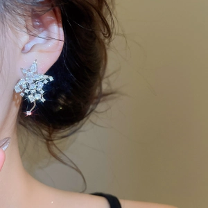 Gros plan de boucles d'oreilles étoiles en argent avec zircons portées à l'oreille