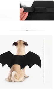 Detail view of adjustable velcro straps and bat wings costume on a dog for Halloween